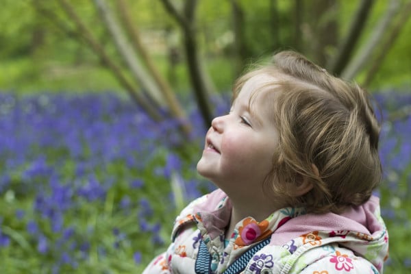 There is something magical about bluebells. Here’s a round-up of six of the best bluebell woods that promise the most spectacular show…